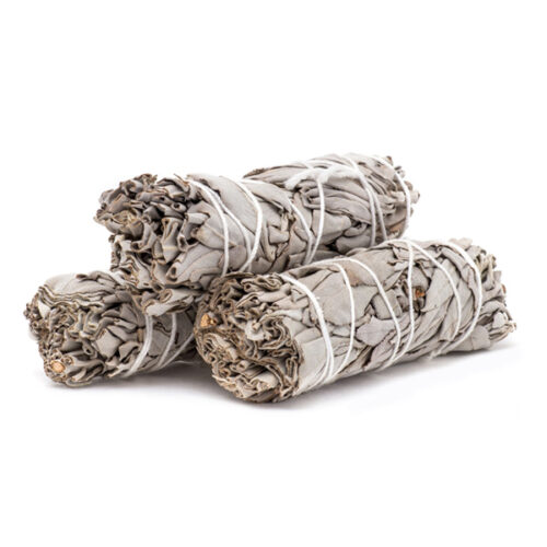 Tocha de Salvia Branca Pequena 600px