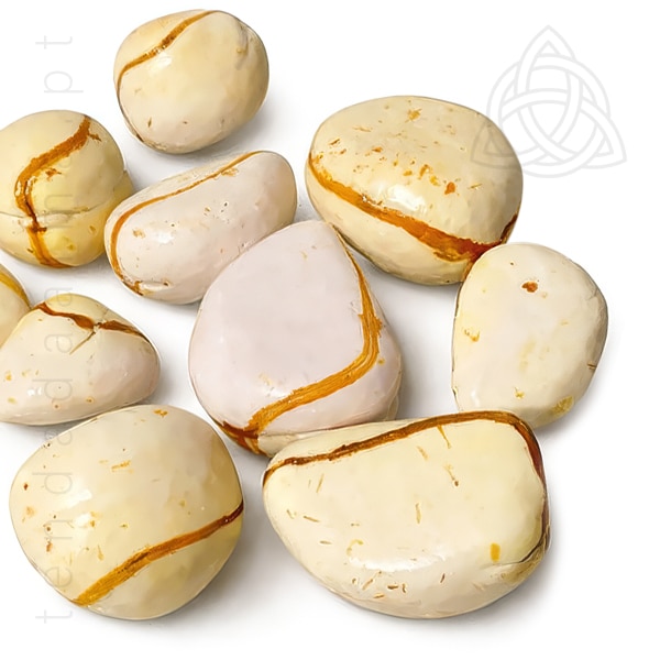 Semente de Obi de agua, Obi de dois gomos, origem brasil, 600px