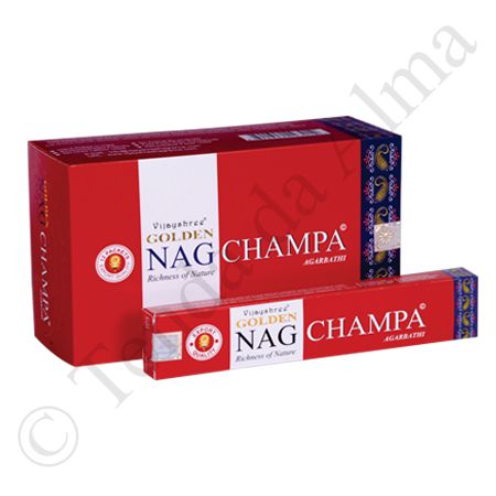 Golden_Nag_Champa_CX.jpg