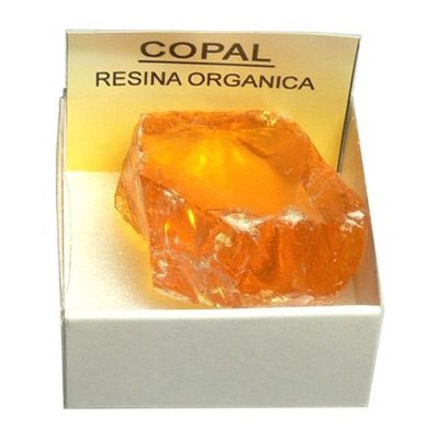 copal_4x4.jpg