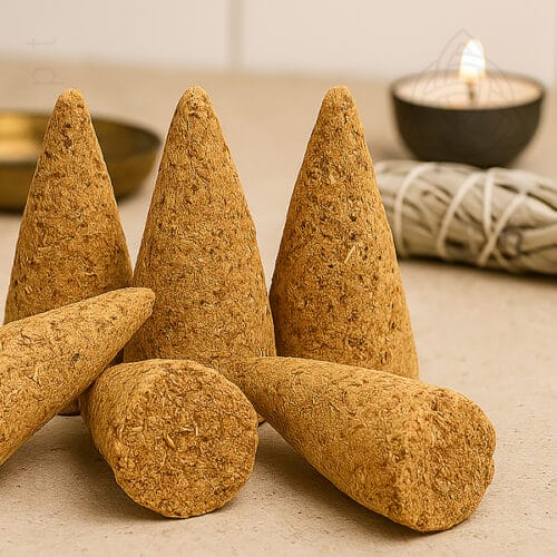 Cones de Pau Santo, Palo Santo, Bursera Graveolens, 600px