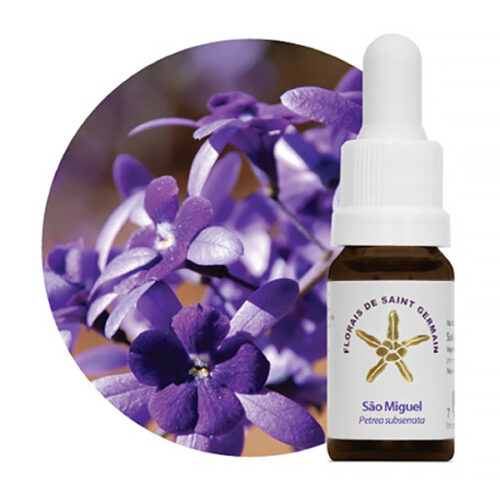 Floral de Saint Germain Sao Miguel 600px