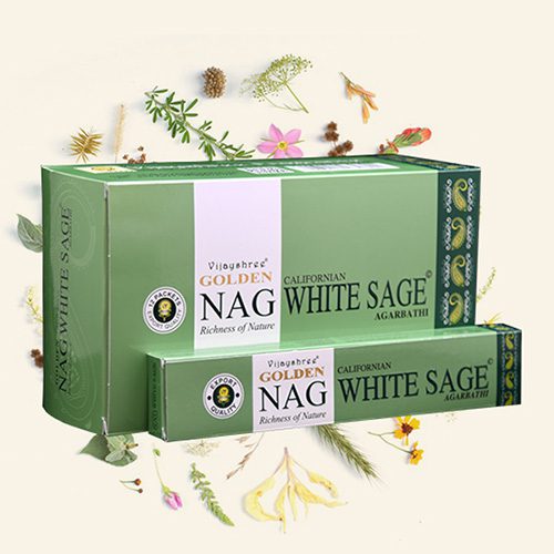 Golden_Nag_White_sage_CX_500px.jpg