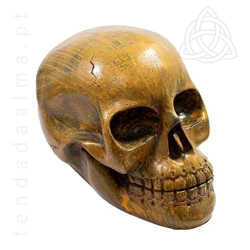 Caveira em resina, replica de um cranio humano, cor laranja, creme, 500px