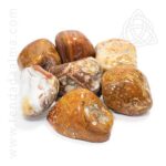 Nenhuma imagem definida