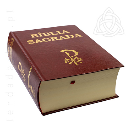 Biblia Sagrada Capa Rija Bordeux