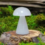 Cogumelo de Selenite, 10/12 cm, 500px