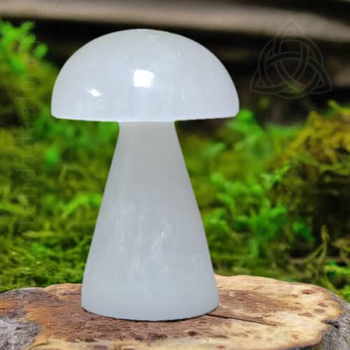 Cogumelo de Selenite, 10/12 cm, 600px