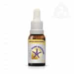 Floral Florais de Saint Germain Formula Apoio Emocional 500px