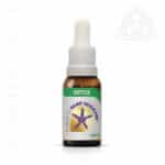 Floral Florais de Saint Germain Formula Detox 500px