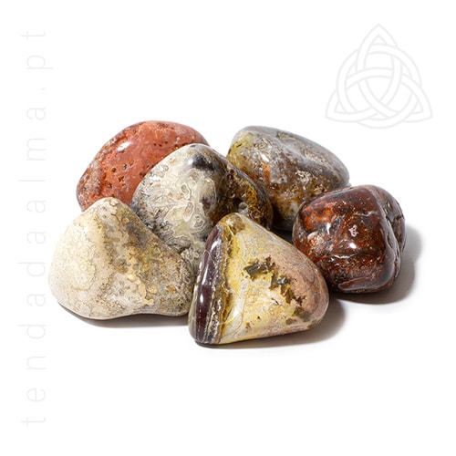 Agata Crazy Maluca, 10/20 grs, 500px