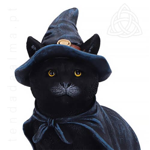 Gatinho Feiticeiro, U6689A24, 18,5 cm de altura, Nemesis Now, Cute Culties, Detail Cabeça, 600px