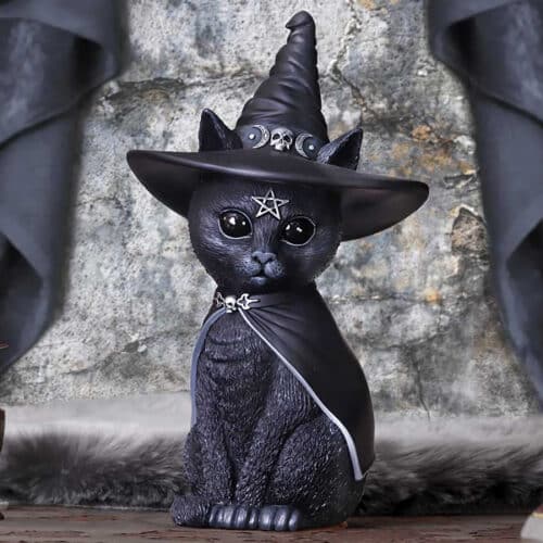 Purrah, Gato de Bruxa, 30cm de altura, Nemesis Now, Cute Culties, Detail 600px