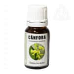 Oleo Essencial de Canfora, Tenda da Alma, 500px