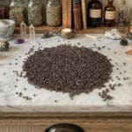 Mostarda Negra, Brassica nigra, embalagem de 100grs, 500px