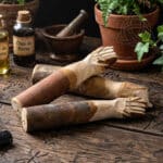 Figa de Guine, Origem Brasil, 500px