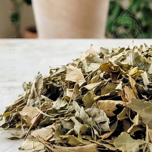 Folhas de Laranjeira seca em sacos de 50 g