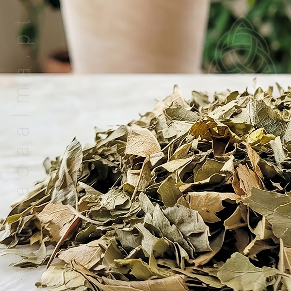 Folhas de Laranjeira seca em sacos de 50 g
