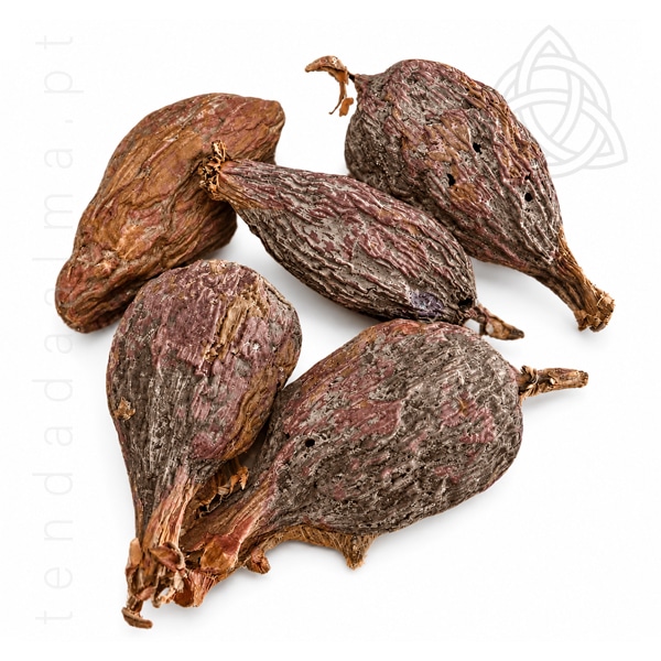 Fava de Ataré por dentro